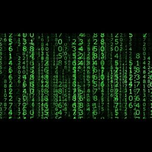 Meet your Posher, Samuel